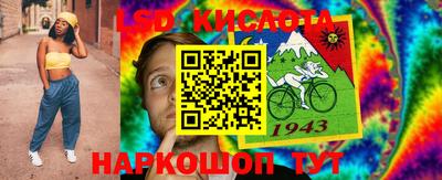 стаф Кандалакша