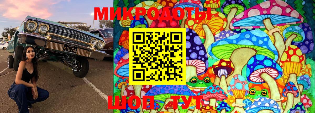 Псилоцибиновые грибы Psilocybe  Вход с VPN  Галлюциногенные грибы мухоморы  Кумертау 